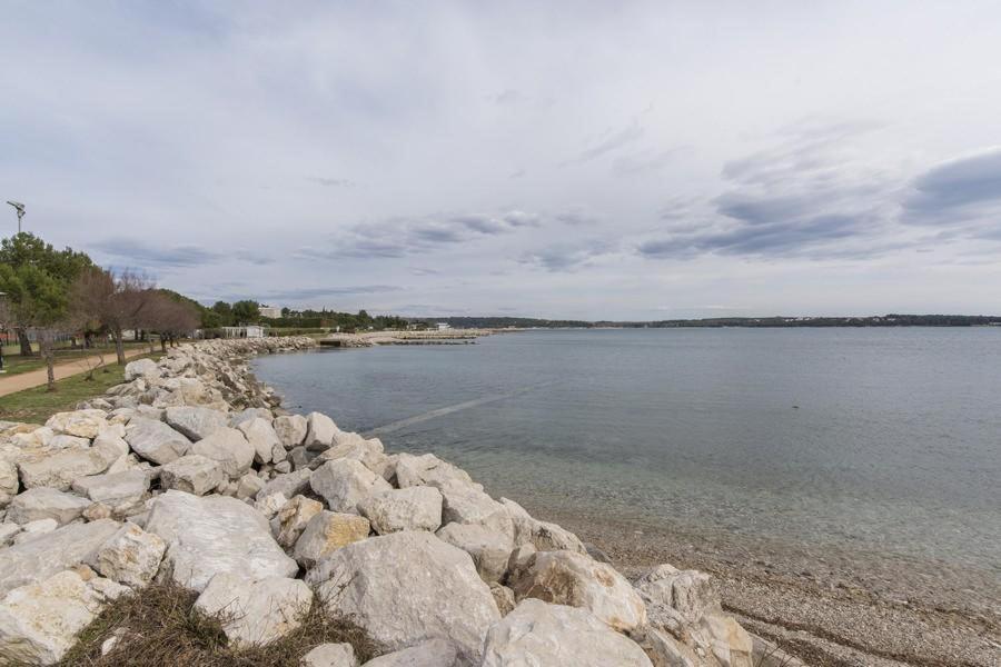 Apartment Zak Novigrad Istria Eksteriør billede