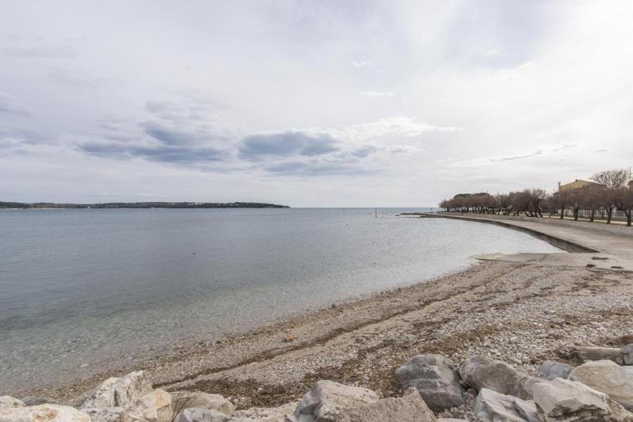 Apartment Zak Novigrad Istria Eksteriør billede